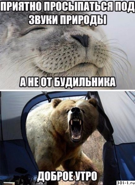 С добрым утром прикол