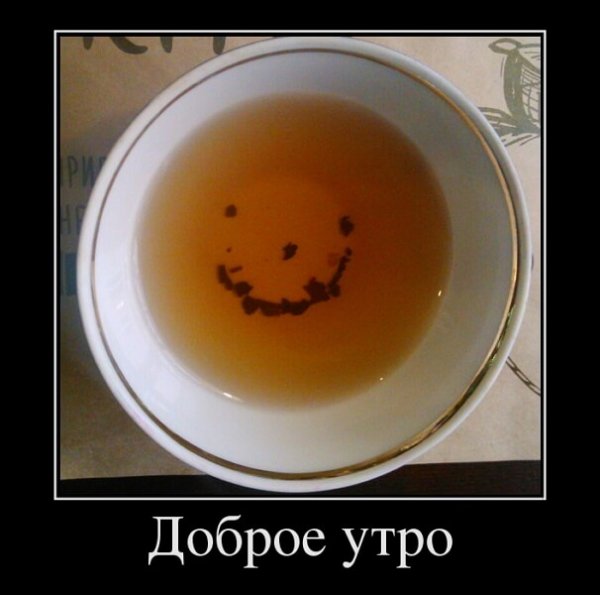 Доброе утро демотиваторы смешные