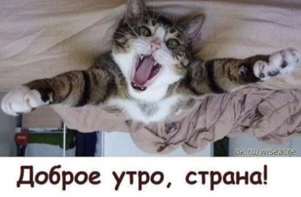 Доброе утро Страна прикольная