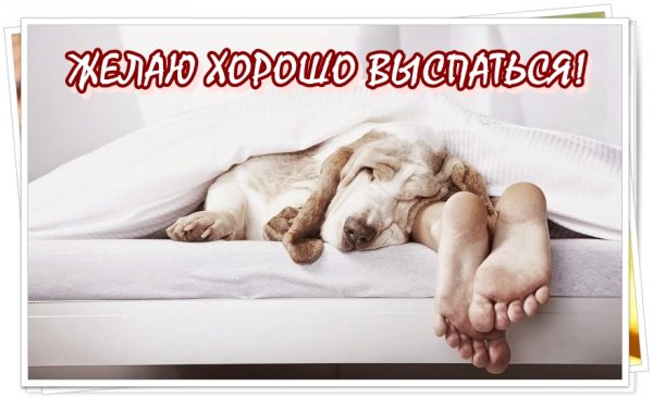 Ржачные пожелания спокойной ночи парню