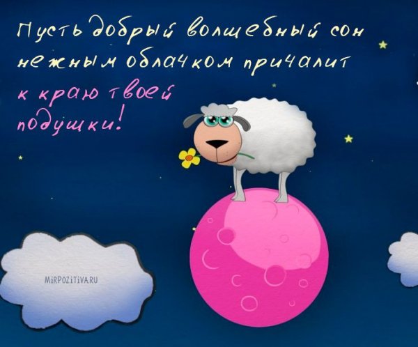Прикольные пожелания спокойной ночи