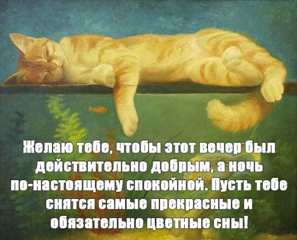 Пожелания на ночь