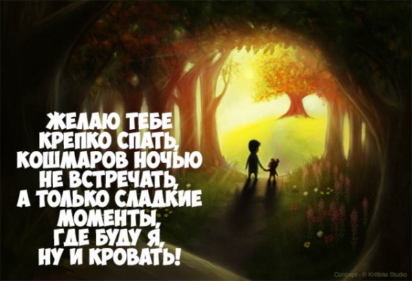 Юморные пожелания спокойной ночи мужчине