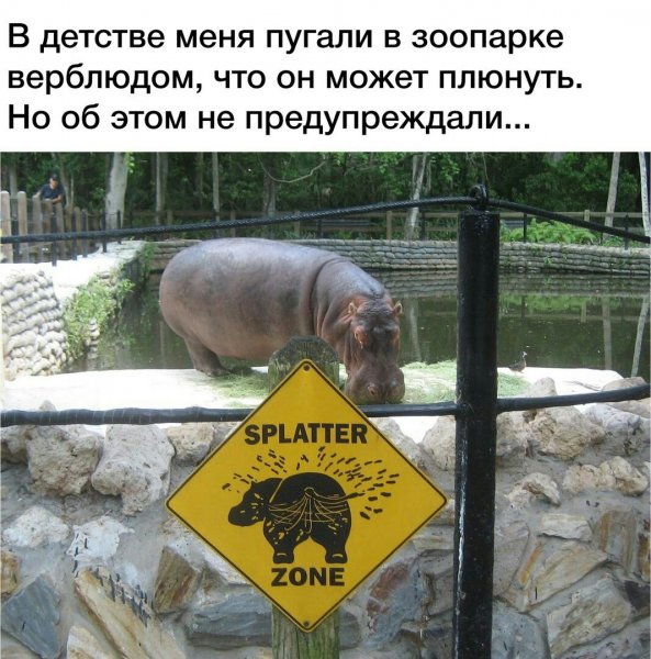 Смешные надписи в зоопарке