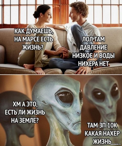 Прикольные картинки для поднятия настроения