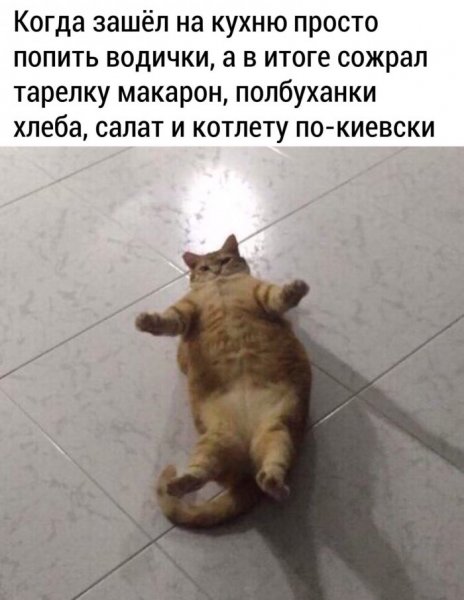 Смешные картинки с надписями для поднятия настроения