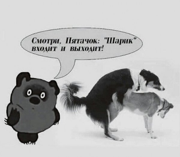Картинки с приколами для поднятия настроения
