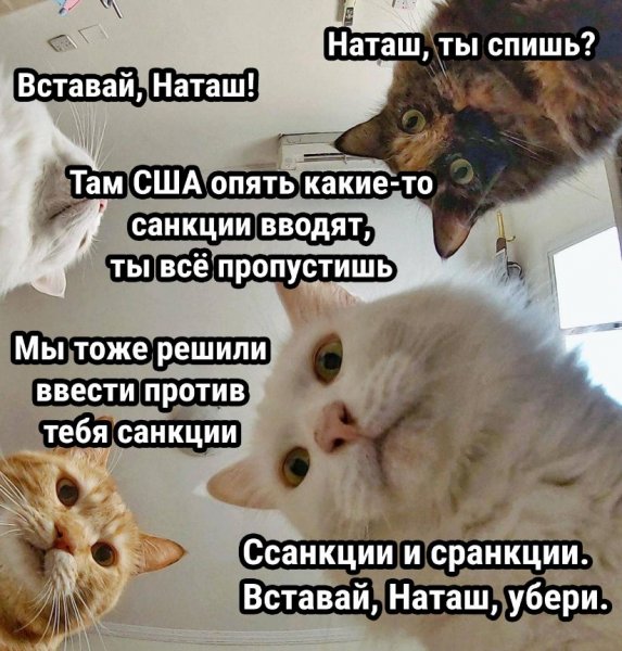 Смешно с надписями для поднятия настроения
