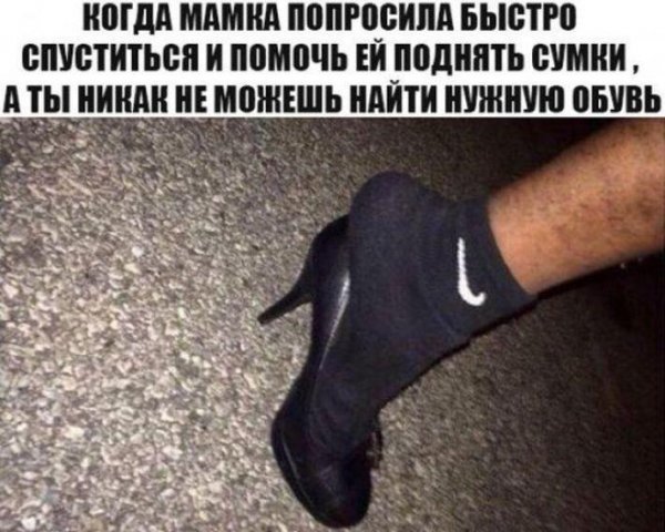 Смешные фото с надписями для поднятия настроения новинки