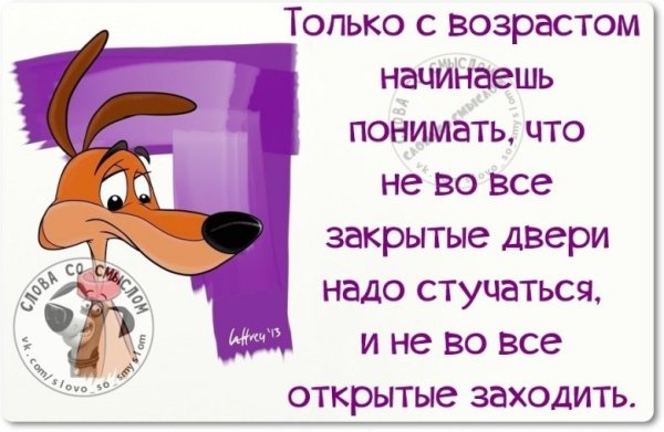 Смешные цитаты