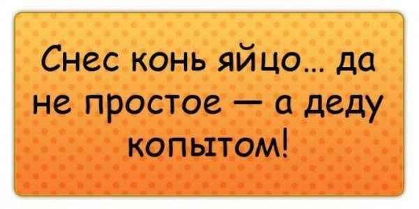 Самые смешные цитаты
