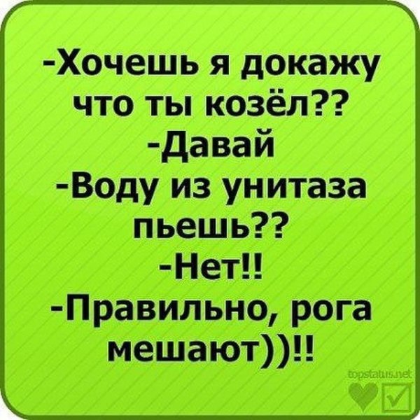 Прикольные фразы