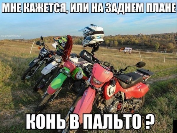 Мото приколы