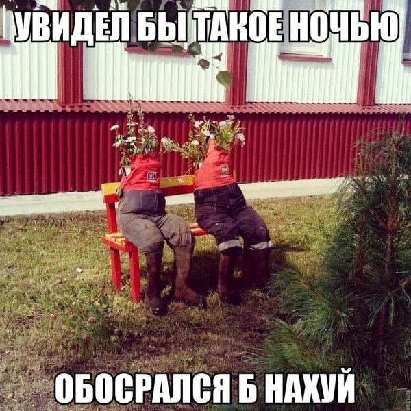 Самые убойные приколы