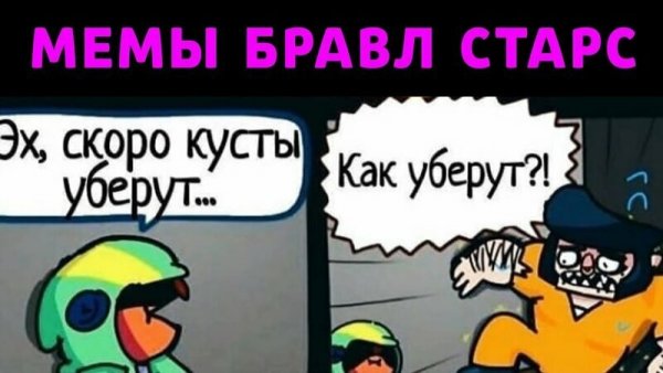 Мем Браво старс