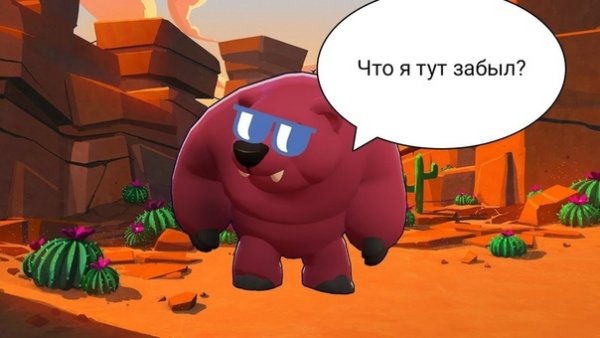 Мемы Браво старс