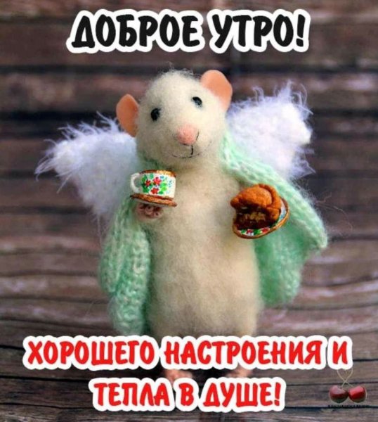 Доброго утра и отличного настроения прикольные