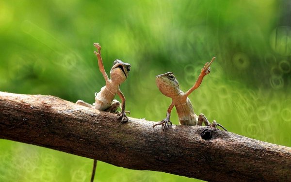 Доброе утро четверга