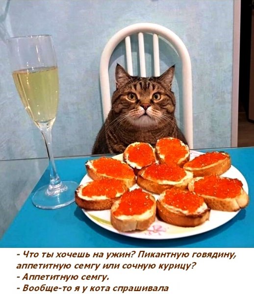 Смешные открытки для поднятия настроения