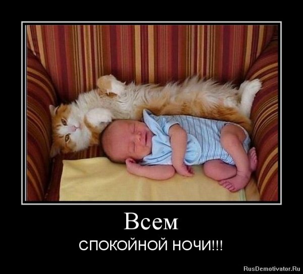 Спокойной ночи с юмором