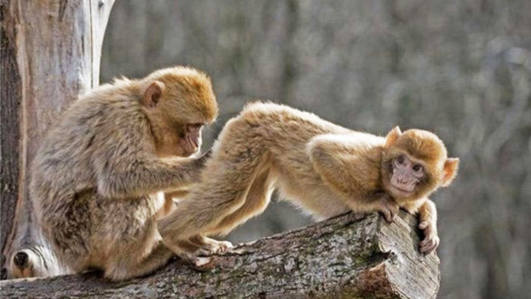 Ржачные картинки до слез про спорт