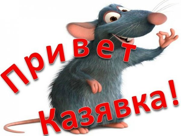 Здрасте картинки прикольные