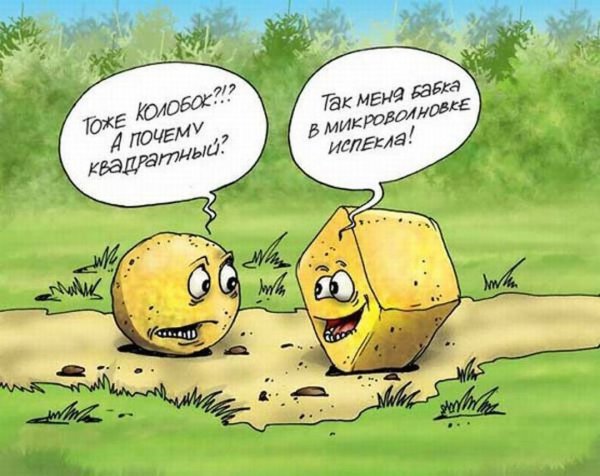 Анекдоты про колобка