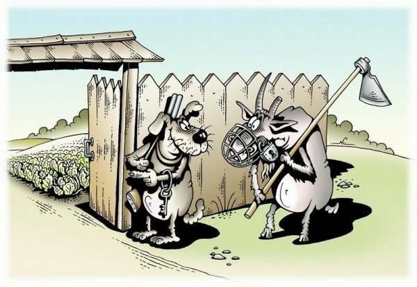 Огород карикатура
