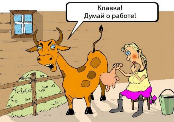 Корова карикатура