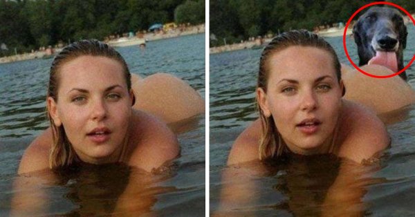 Фотошоп приколы