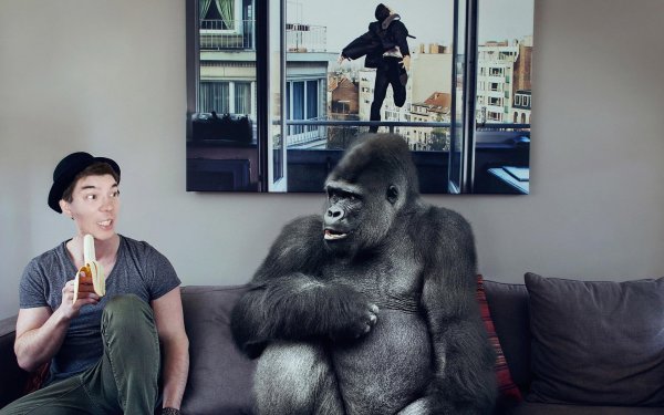 Смешные идеи для фотошопа