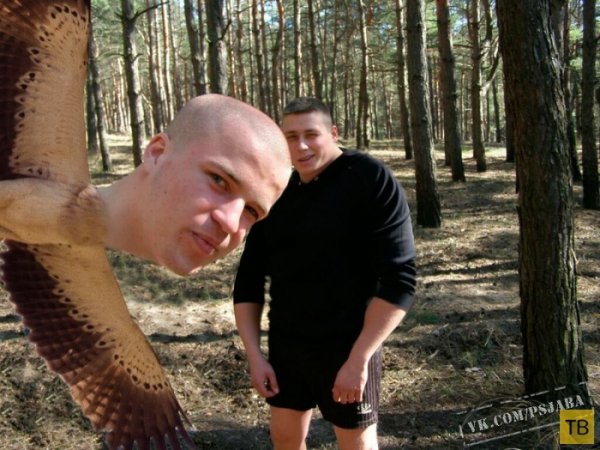 Смешные фотошоперы