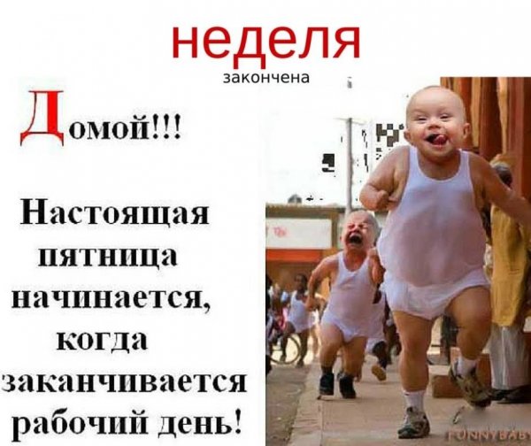 Пятница юмор