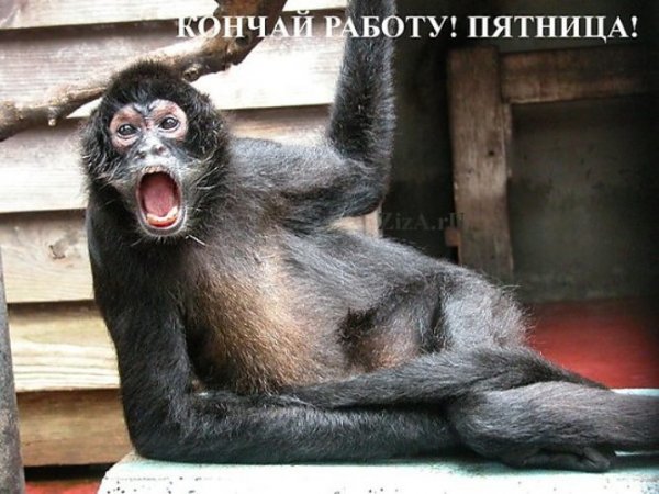 С пятницей картинки