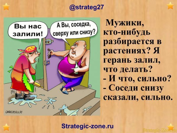 Анекдоты в картинках