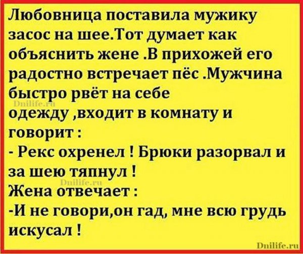 А Н Е кдоты