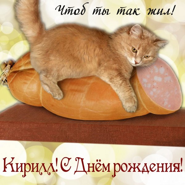 Смешные открытки
