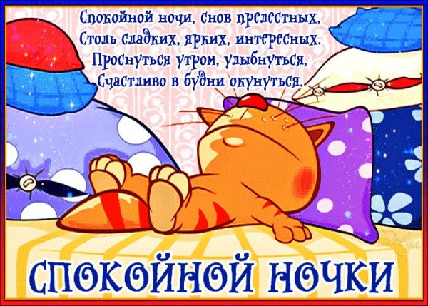 Смешные пожелания спокойной ночи