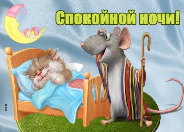 Спокойной ночи картинки прикольные