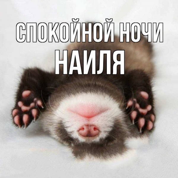 Сладких снов