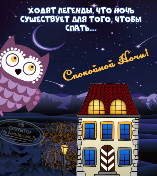 Пожелания на ночь прикольные