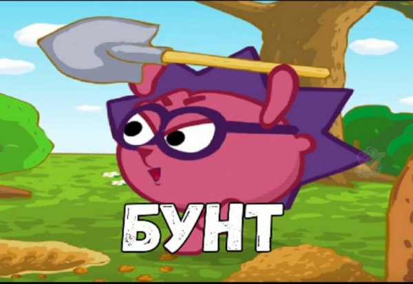 Бунт Ёжик Смешарики