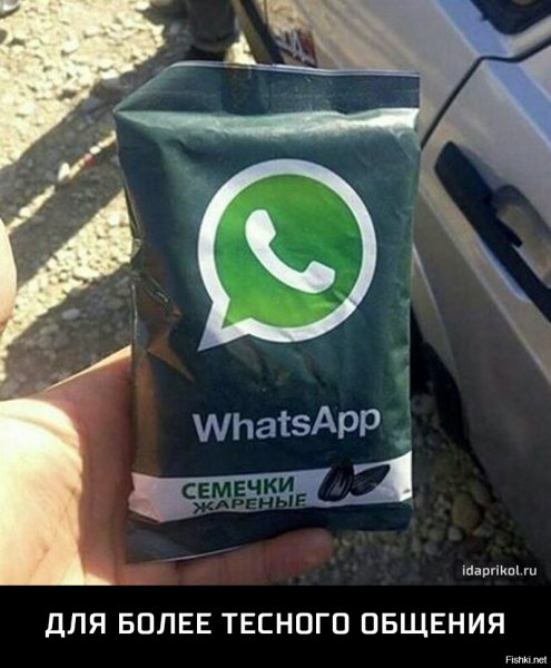 Приколы для группы в ватсапе