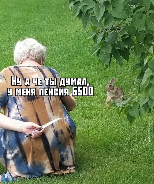 Юмор для поднятия настроения