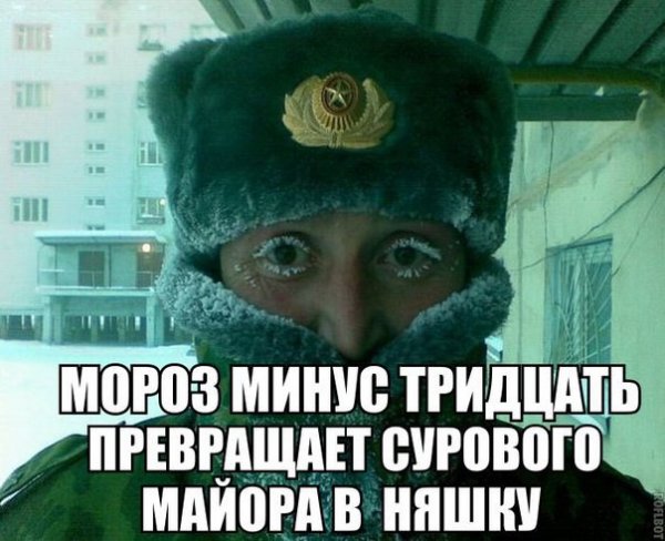 Приколы картинки с надписями