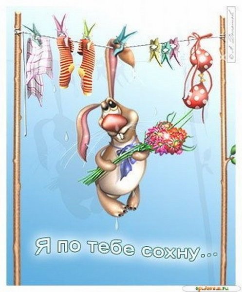 Смешные картинки про любовь