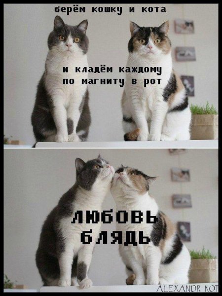 Прикольные про любовь