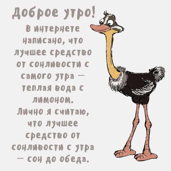 С добрым утром