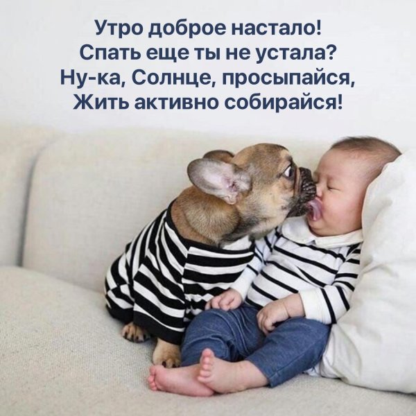 С добрым утром семья смешные