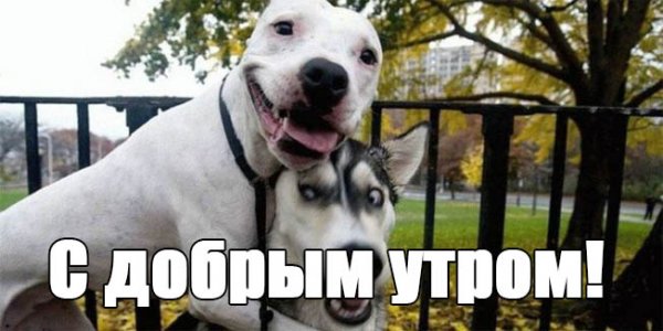 Доброе утро ржака прикол